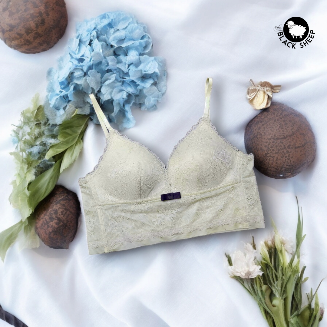 đż Elegant Ivory Bralette â¨