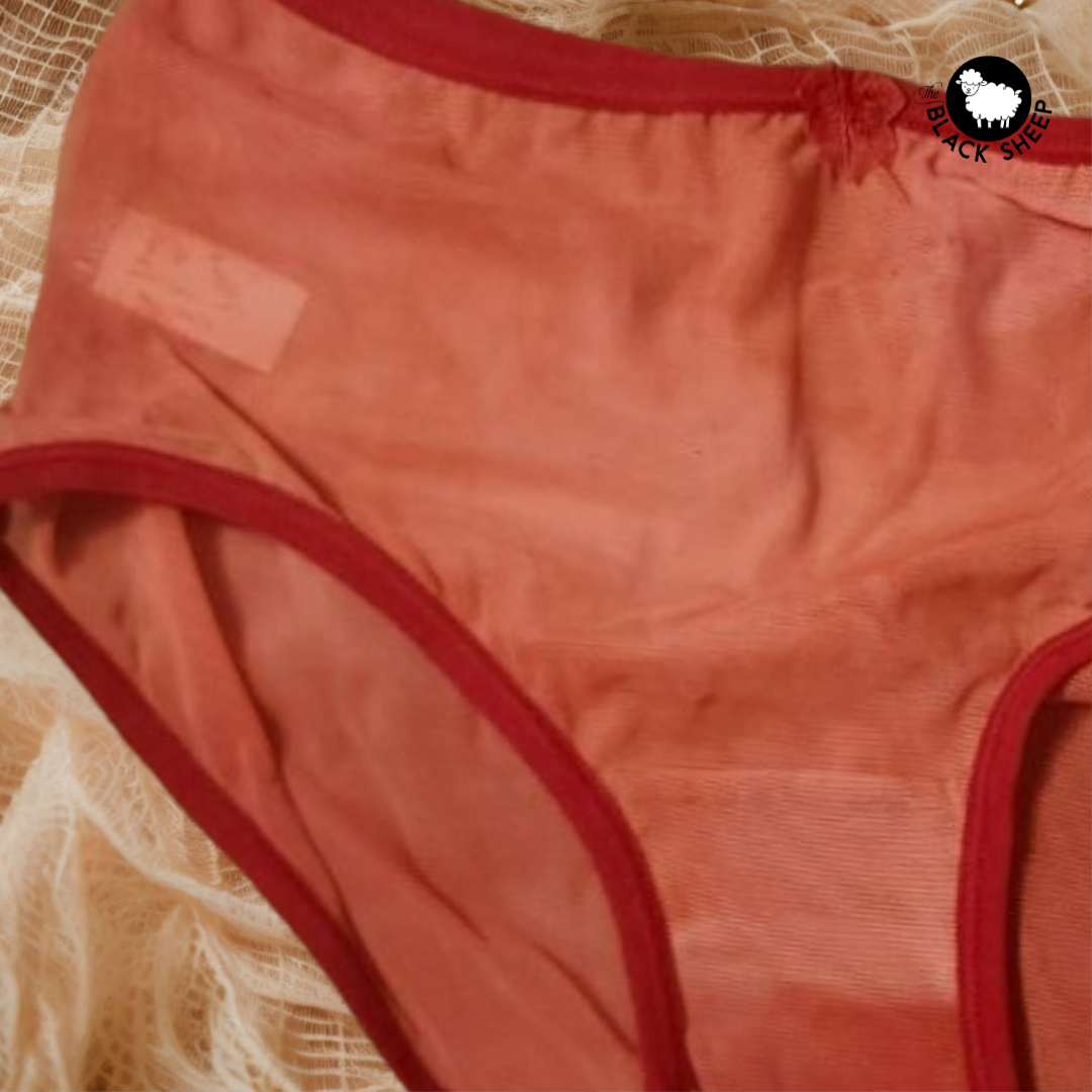 ๐ Whisper Soft Net Panties - Radiance Edition ๐