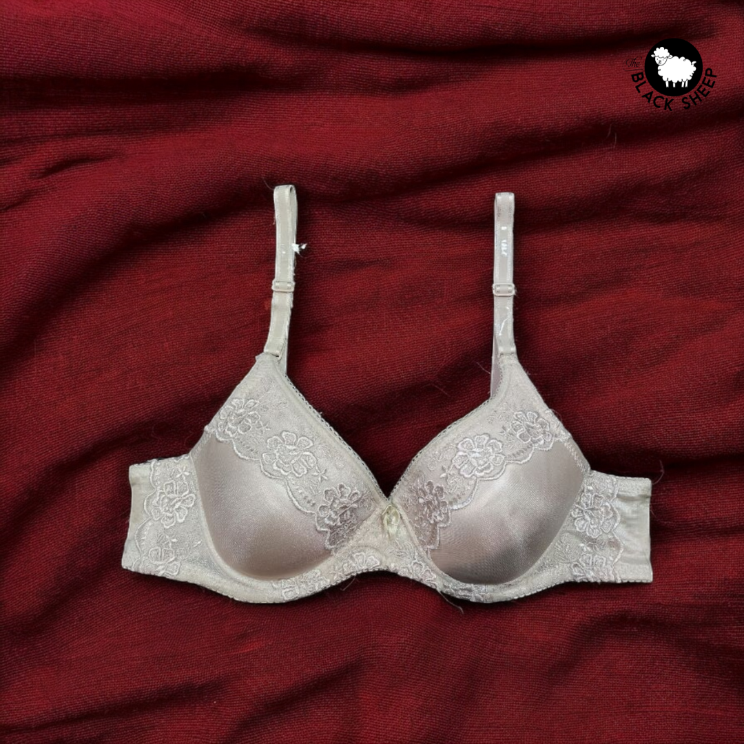 ✨ Ivory Dream 🌸