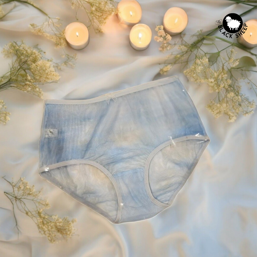 ๐ Whisper Soft Net Panties - Temptation Edition ๐