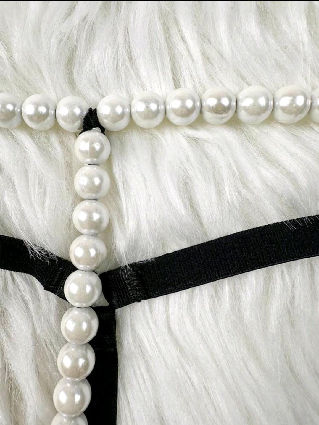 Pearls of Passion Panty