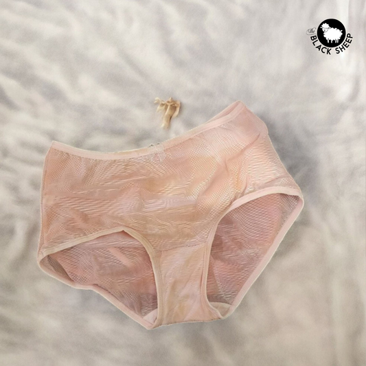 🌟 Whisper Soft Net Panties - Desire Edition 🌟