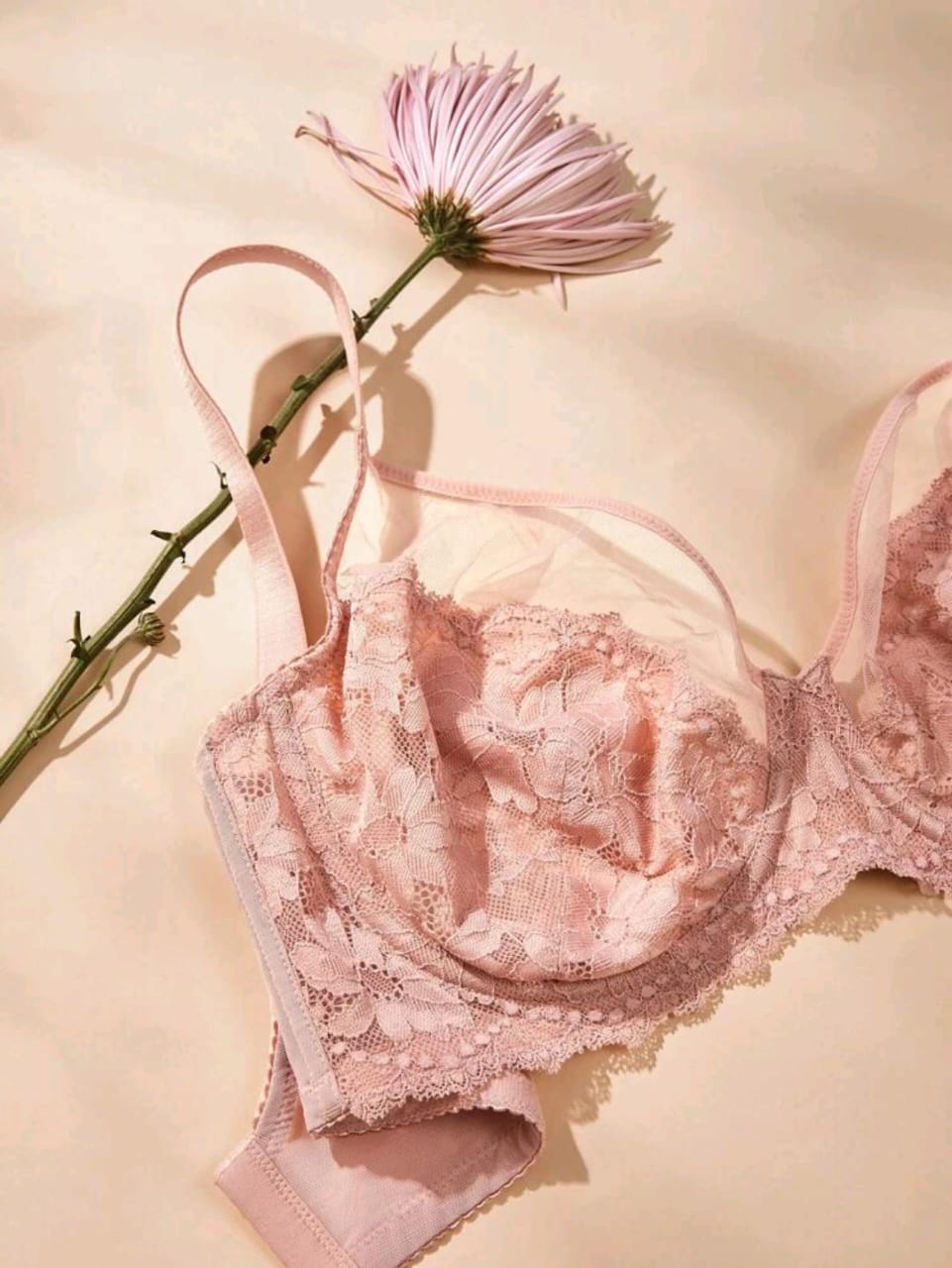 Classic Lace Full-Coverage Bra (Plus Size Pink)